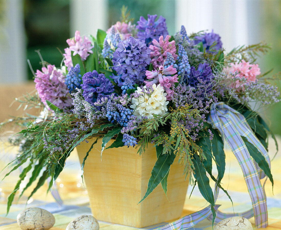 Hyacinthus orientalis 'King Kodro' (Dark Blue)