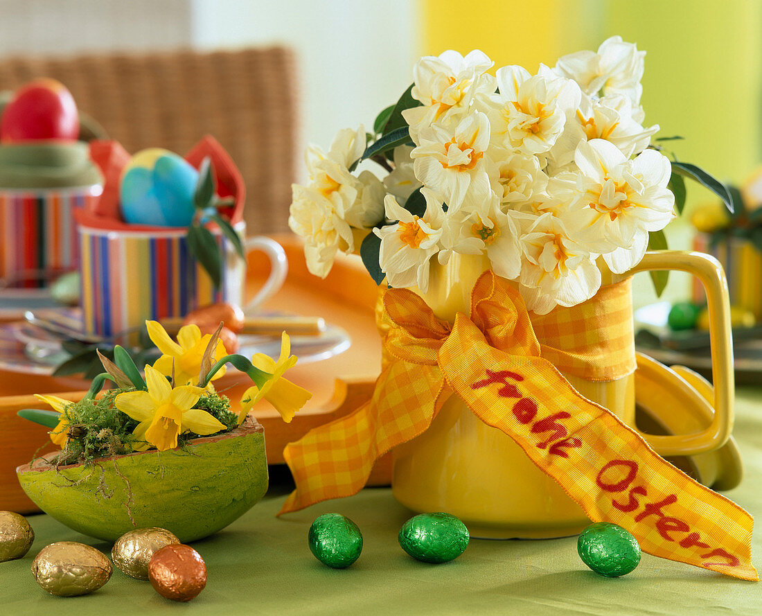 Yellow coffee pot with Narcissus 'Bridal Crown'