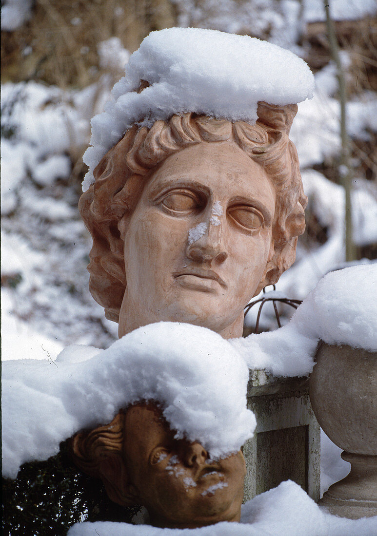 Snowy bust