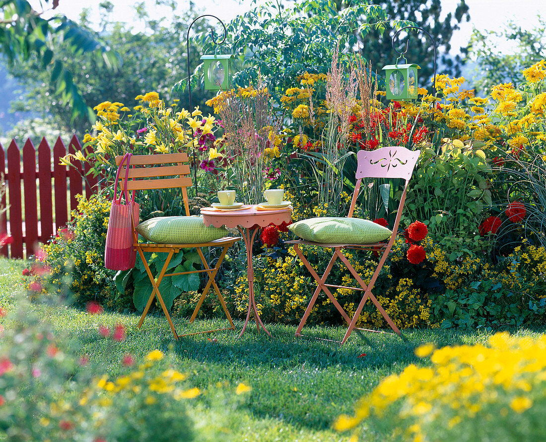 Heliopsis (oxeye), Hemerocallis (daylily)