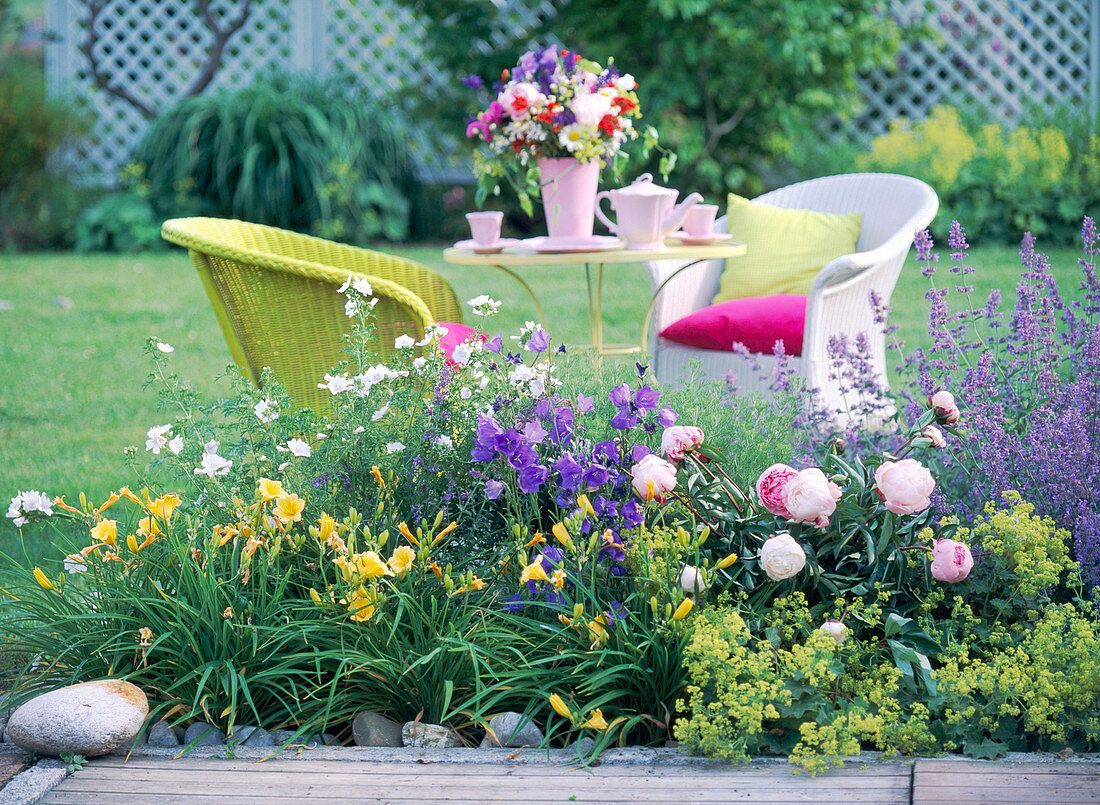 Hemerocallis (daylily), Malva (mallow)