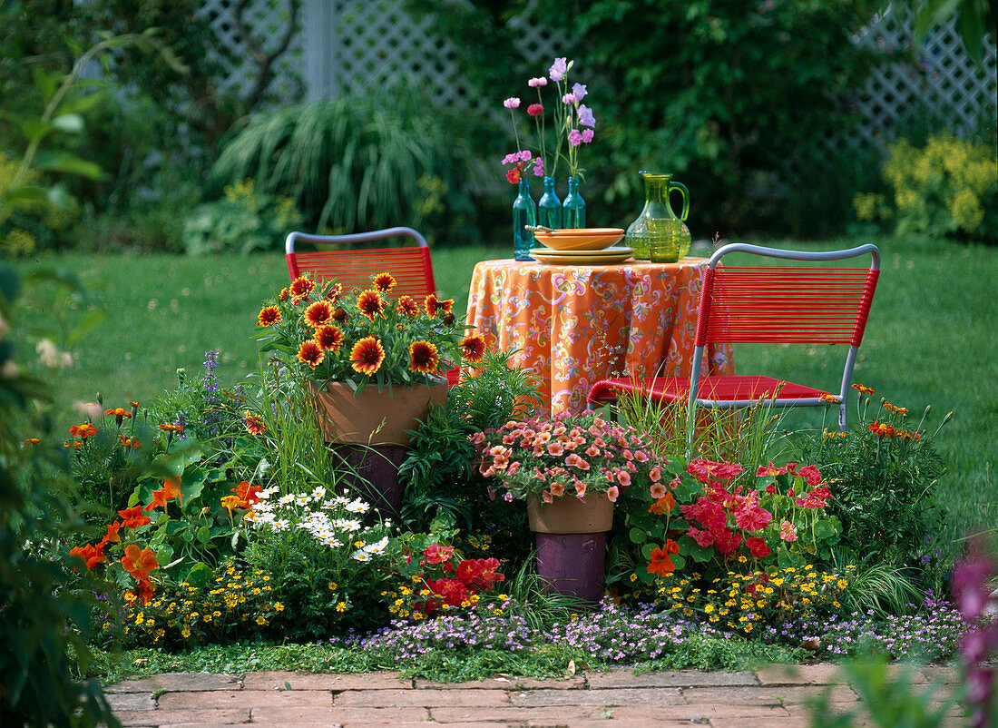 Gaillardia 'Arizona Sun' (Cocklebur)