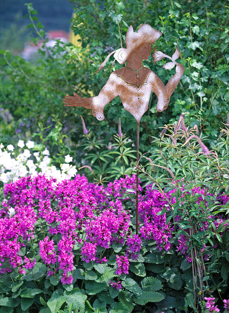 Stachys (sweet pea), Veronica (speedwell)