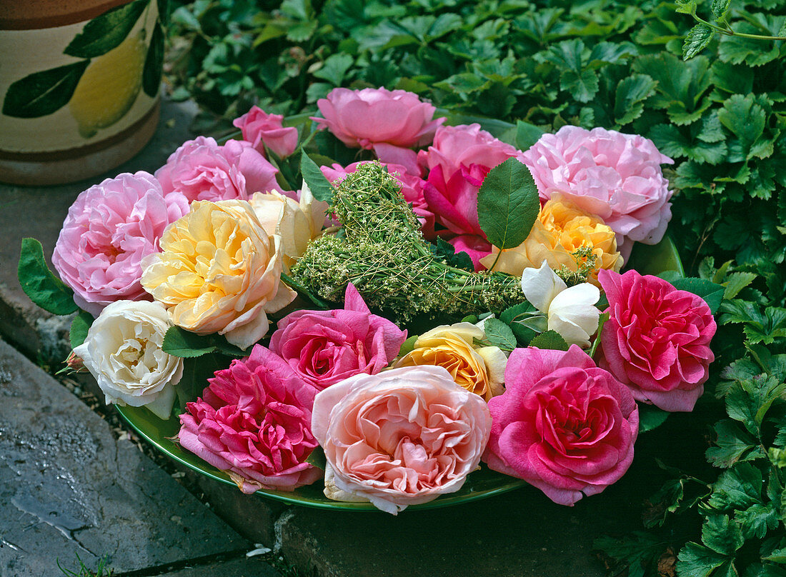 Bowl with Rosa (nostalgic rose petals)
