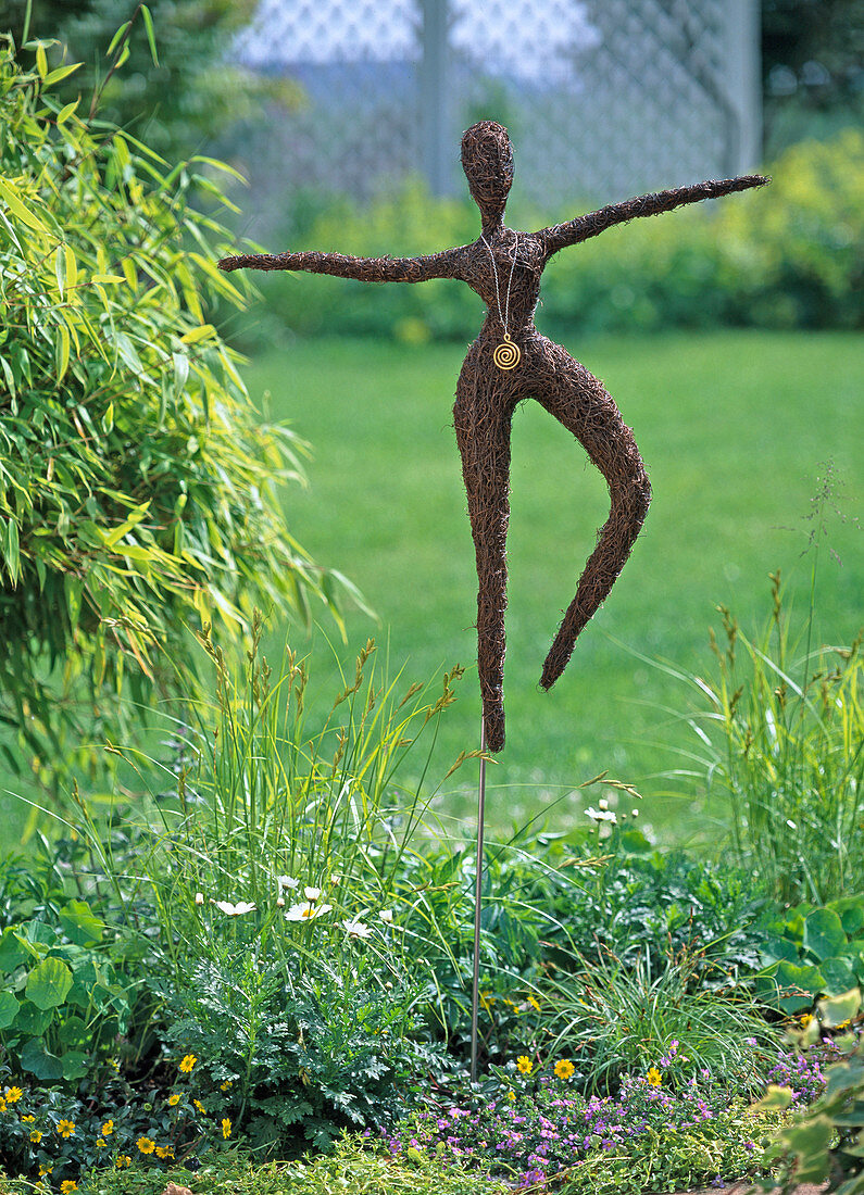 Figure of Muehlenbecki vines in a flower bed