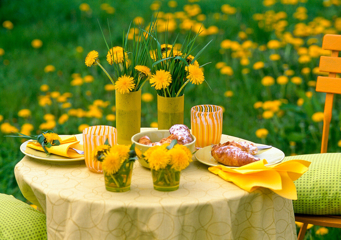 Table with Taraxacum (dandelion)