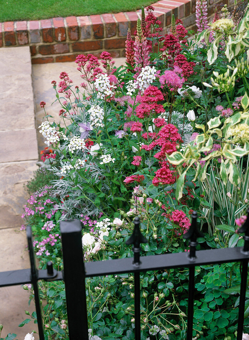 Bed with black wrought iron fence