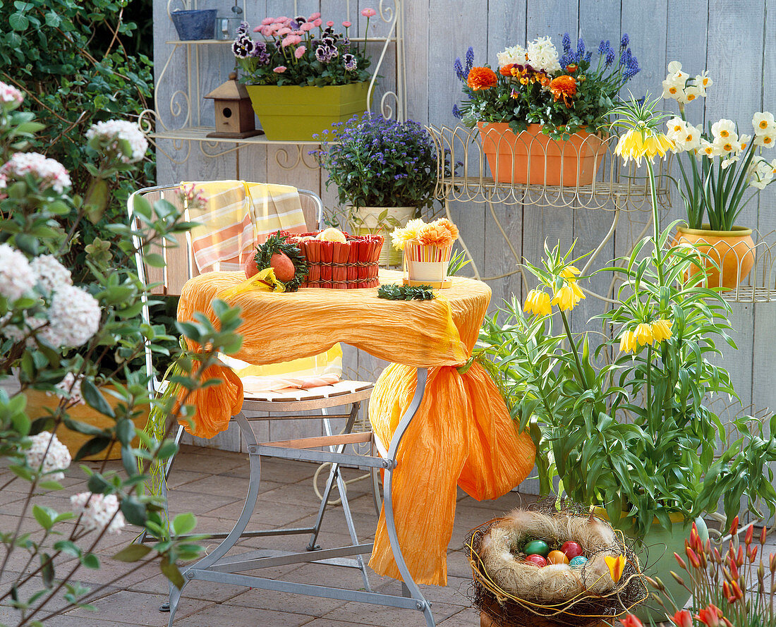 Terrasse mit Frittillaria (Kaiserkrone), Myosotis (Vergißmeinnicht)