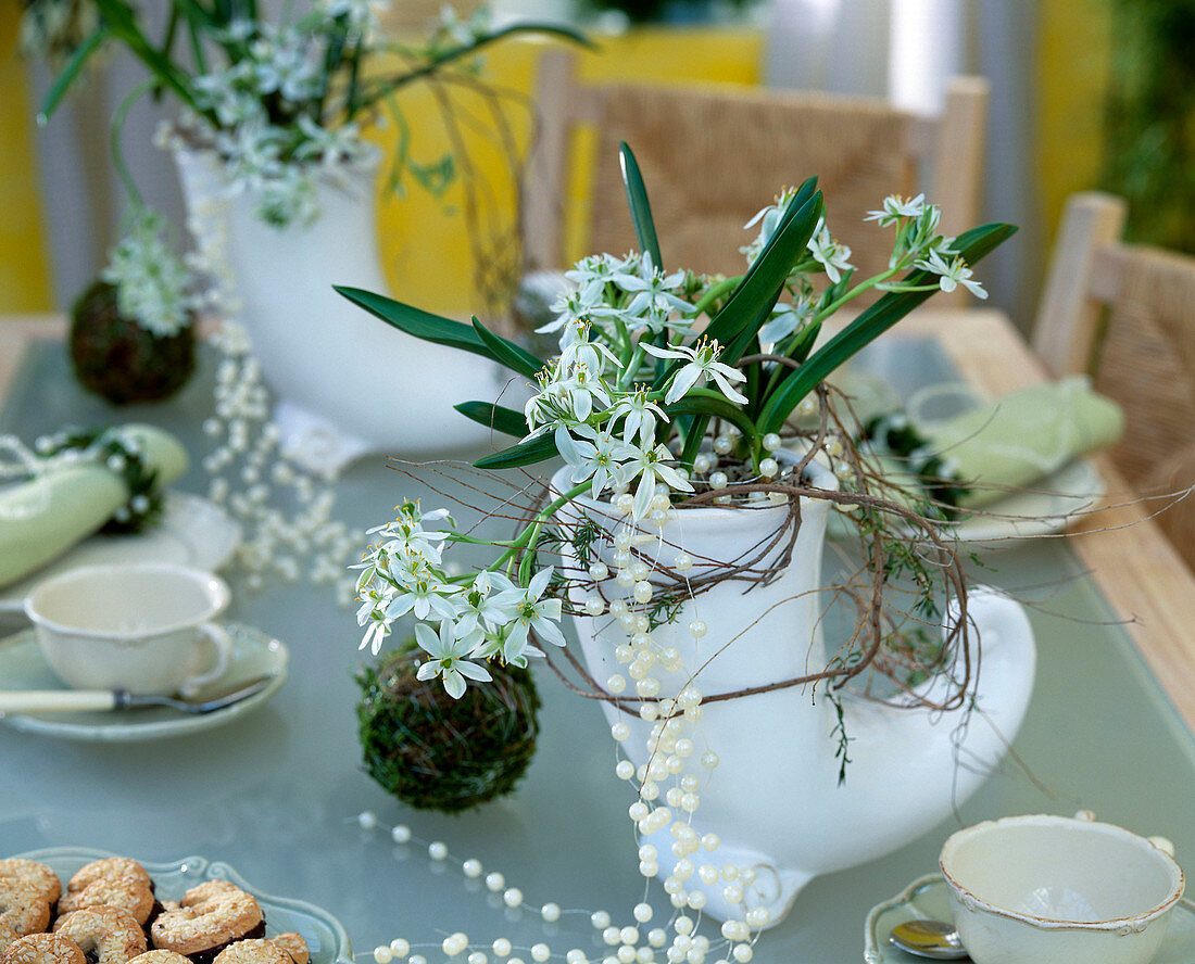 Ornithogalum balansae with pearl strings in white horn-shaped vase