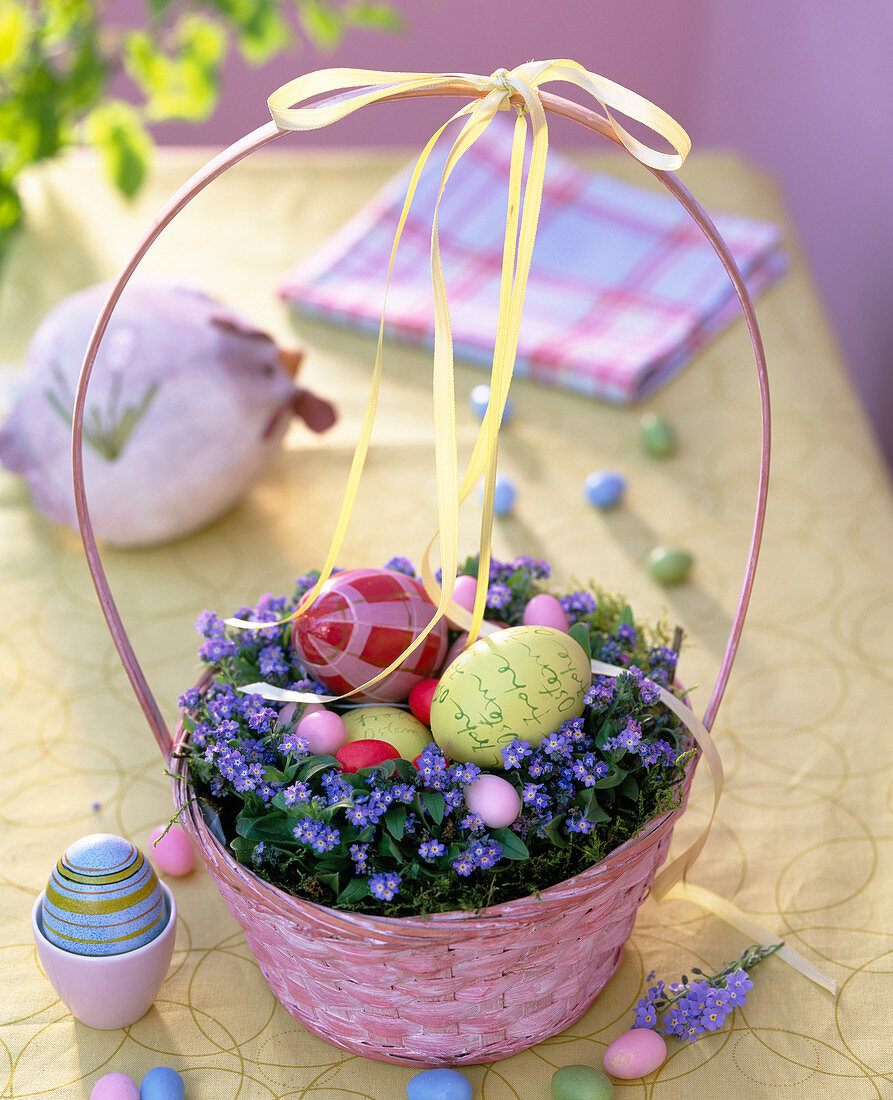 Easter nest made of Myosotis (forget-me-not)