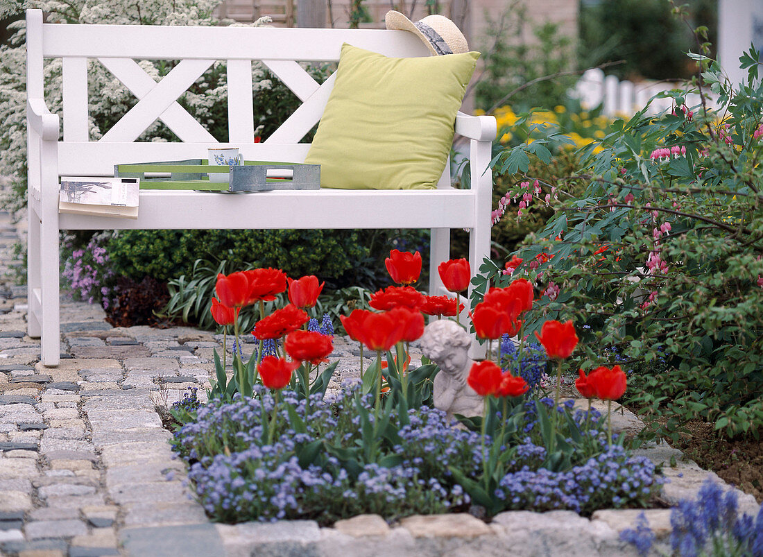 Tulipa (tulip), Myosotis (forget-me-not)