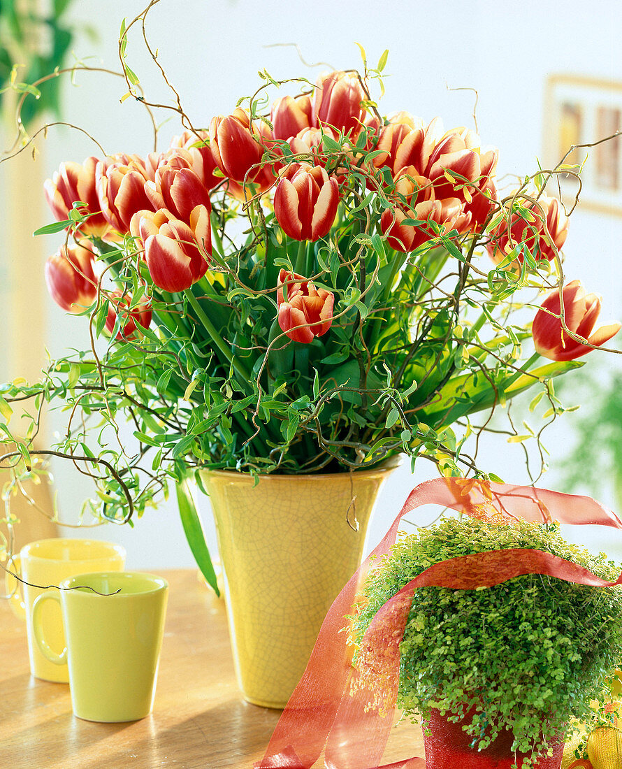 Tulip bouquet