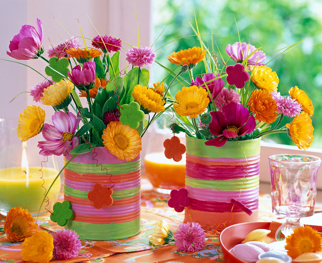 Calendula (Ringelblumen), Cosmos (Schmuckkörbchen)