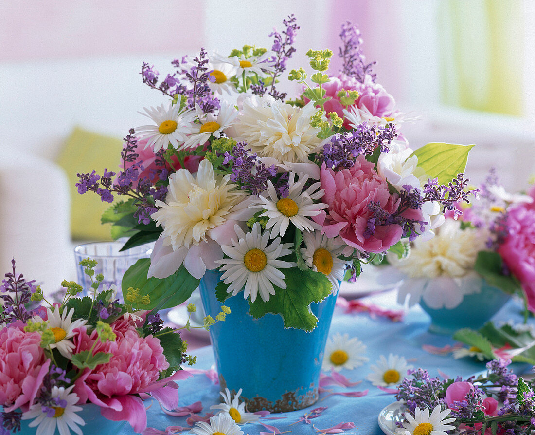 Paeonia (peony) white and pink