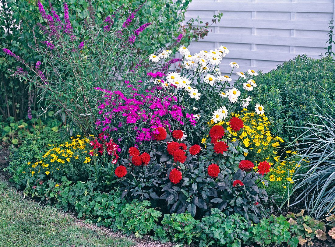 Plant colorful summer bed