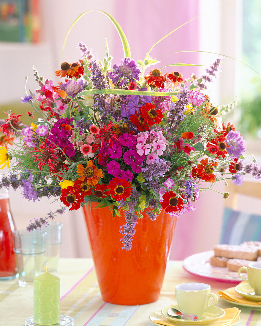 Helenium (Sonnenbraut), Phlox (Flammenblume)