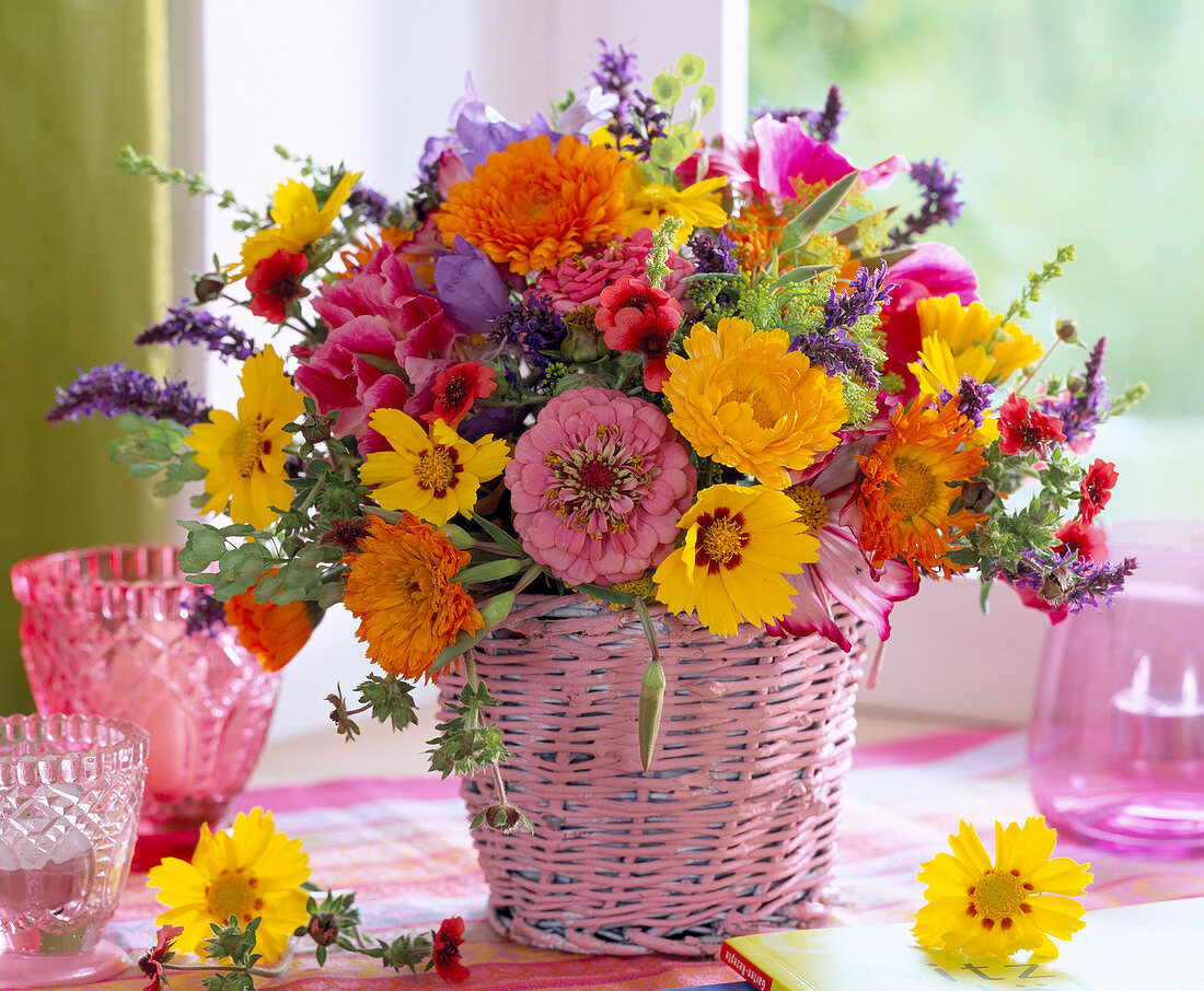 Calendula (Marigold), Zinnia (Zinnia)