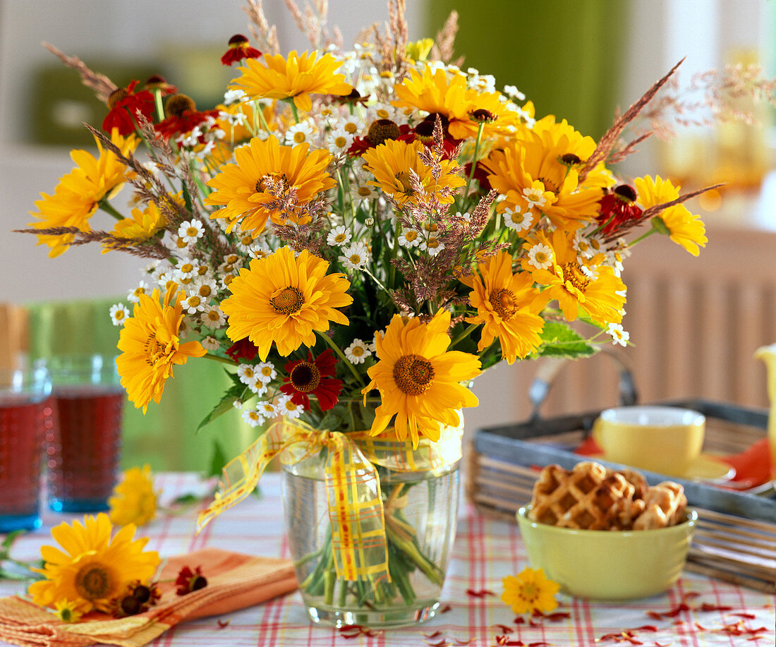 Heliopsis (Sonnenauge), Helenium (Sonnenbraut)