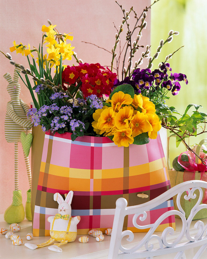 Primula acaulis and Crescendo (primroses), Myosotis (forget-me-not), Narcissus