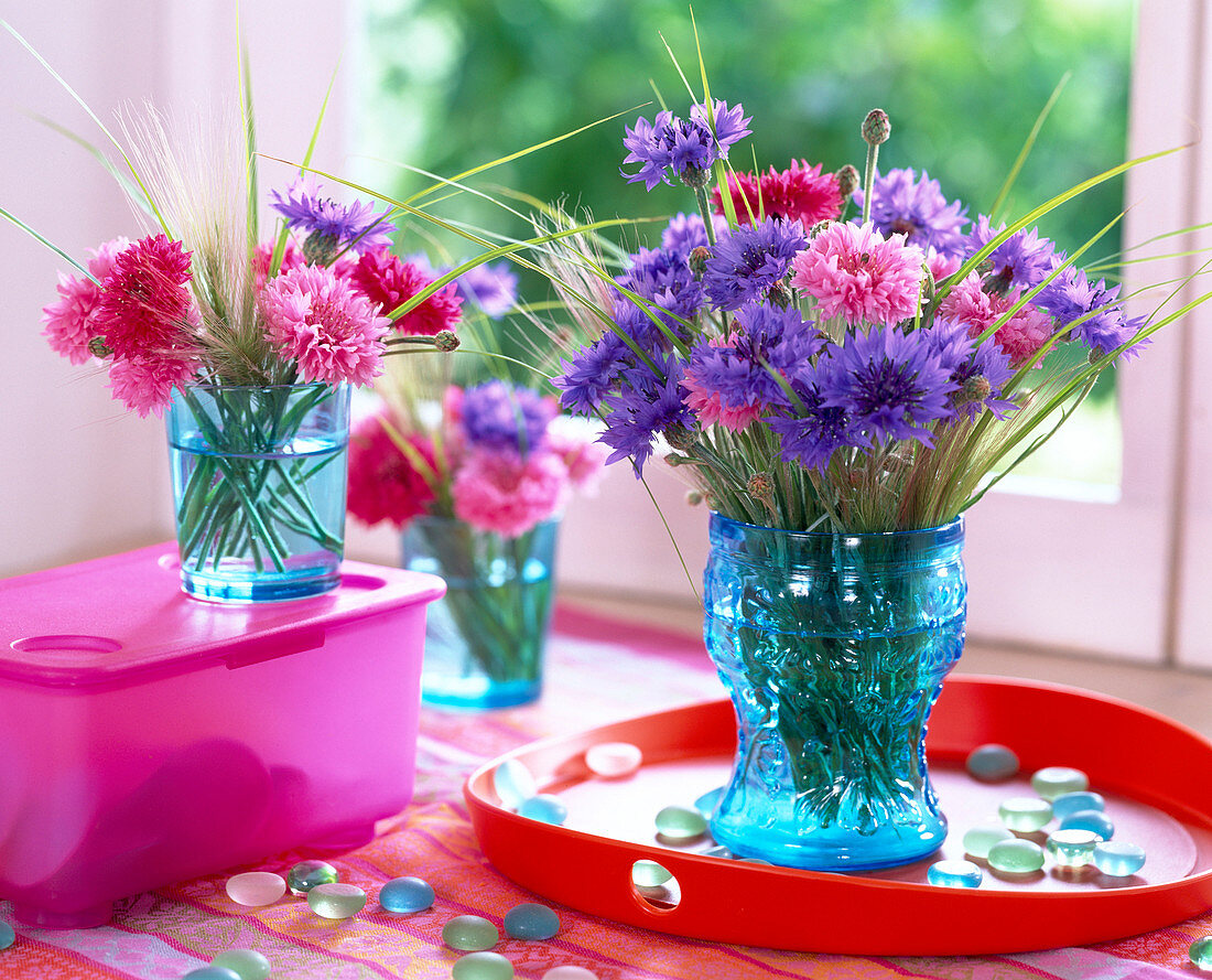 Centaurea (cornflower, blue and pink), grasses in blue vases, tray