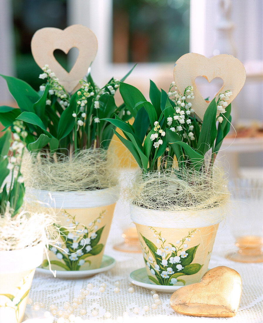 Convallaria majalis (Lily of the valley, golden decorative hearts)