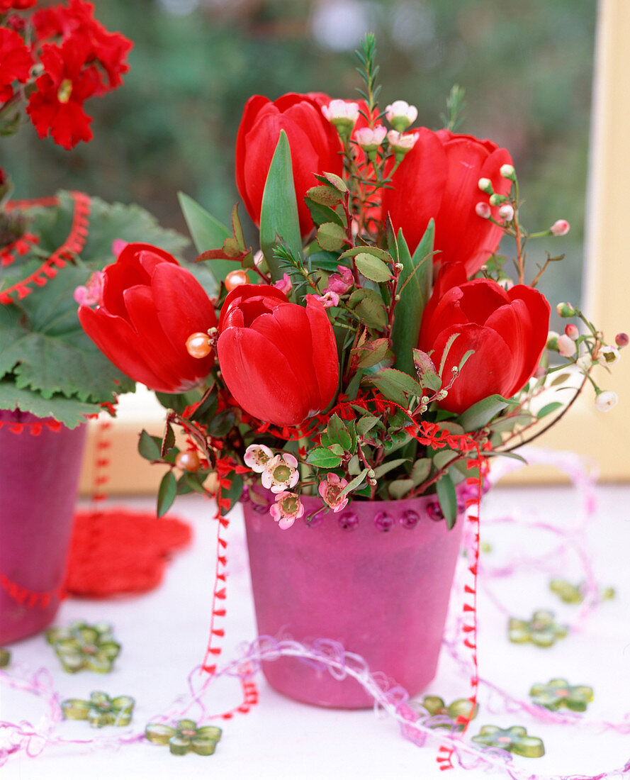 Tulipa 'Red. Paradise' (Tulpen), Chamelaucium und Myrtus