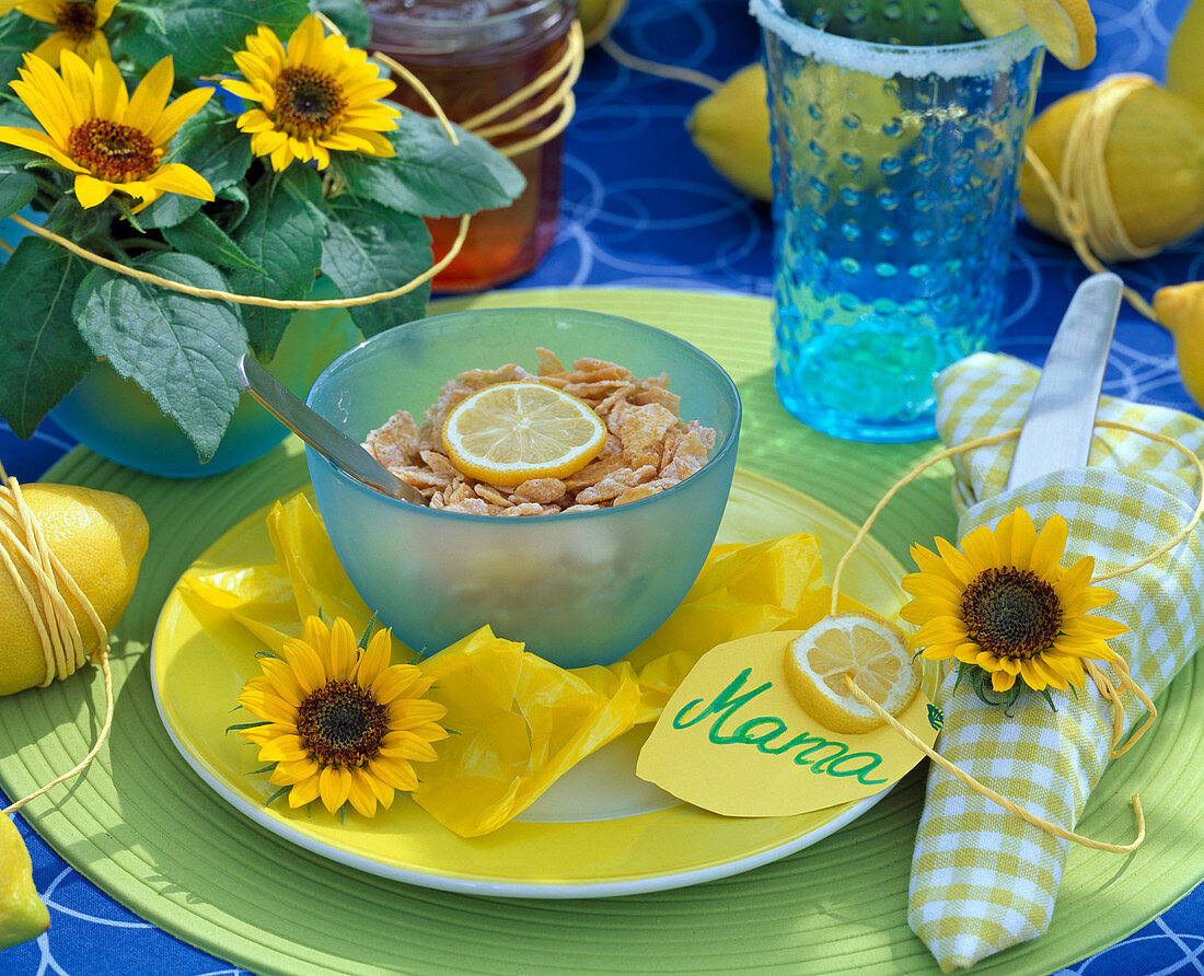 Helianthus annuus (mini sunflower) in a bowl