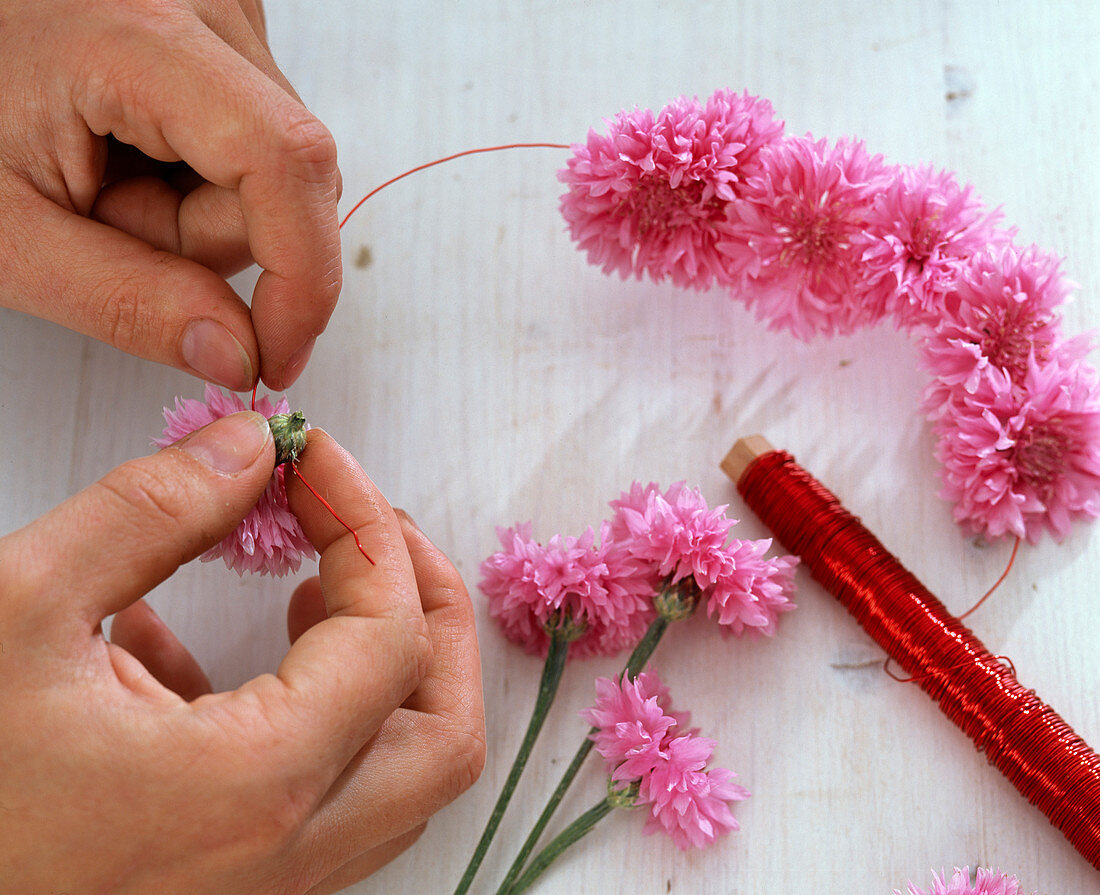 Cornflower garland (1/2)