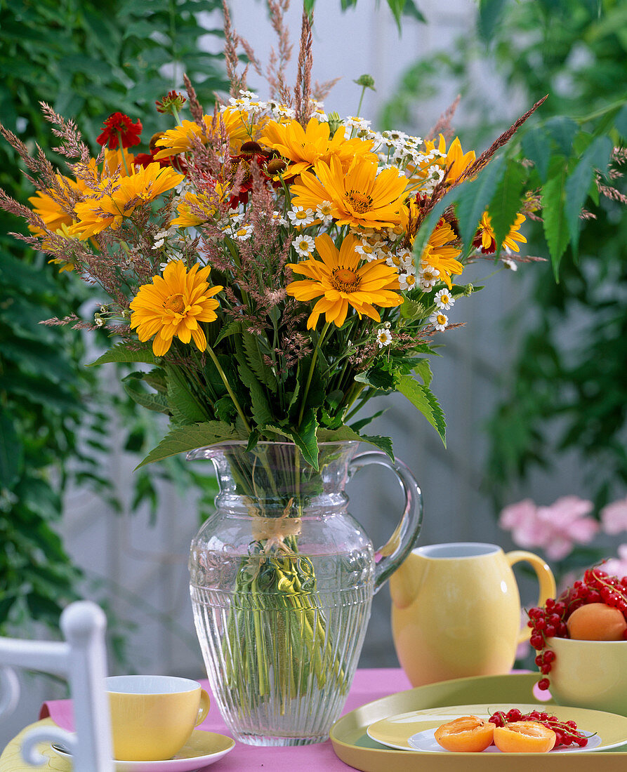 Heliopsis scabra (Sonnenauge)