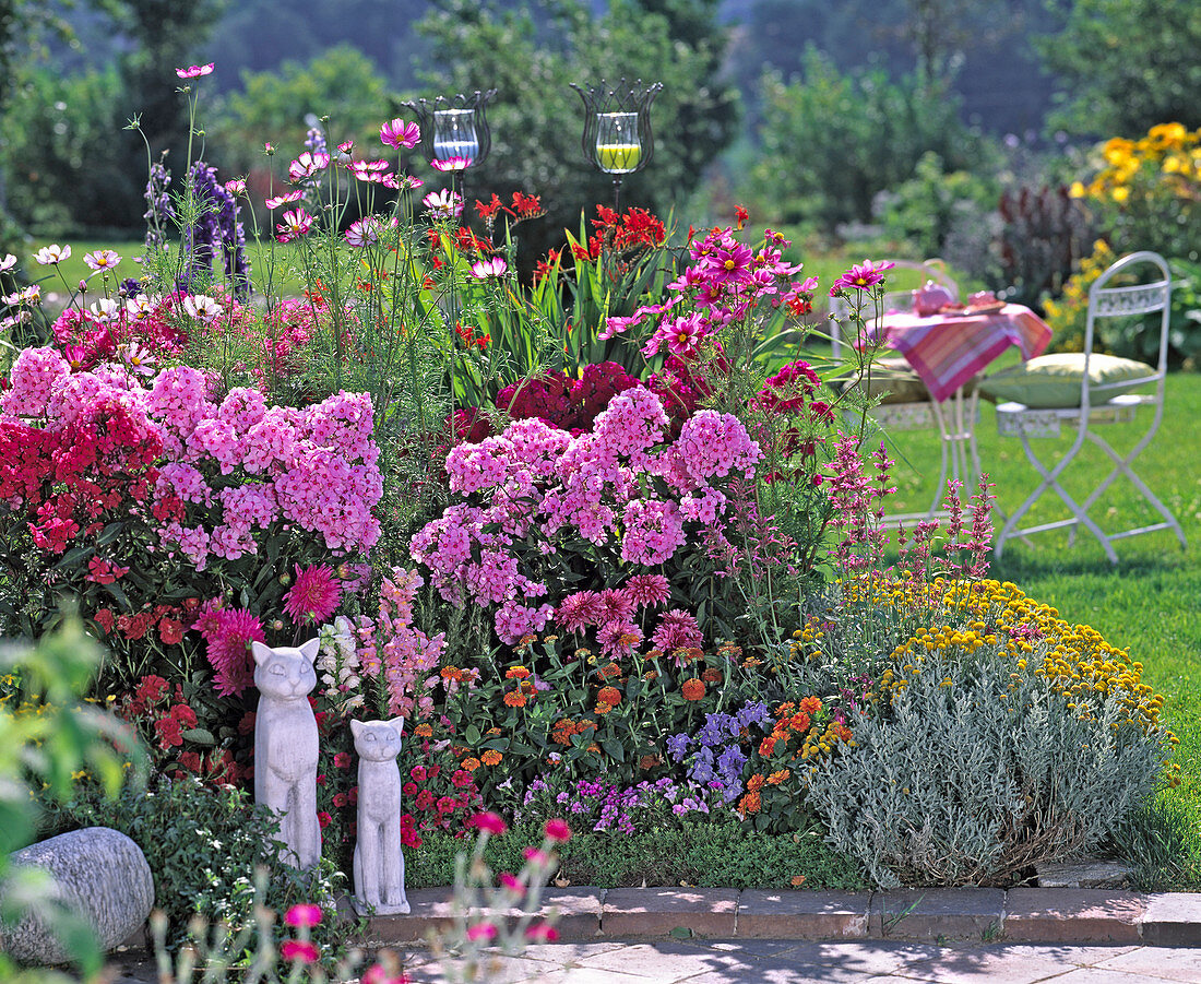 Phlox (Flammenblume), Santolina (Heiligenkraut)