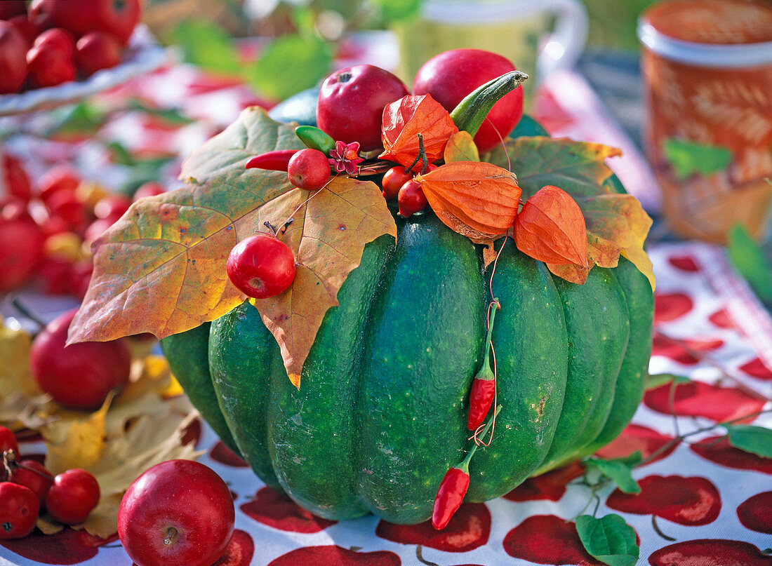 Cucurbita (green pumpkin), Malus (apple)