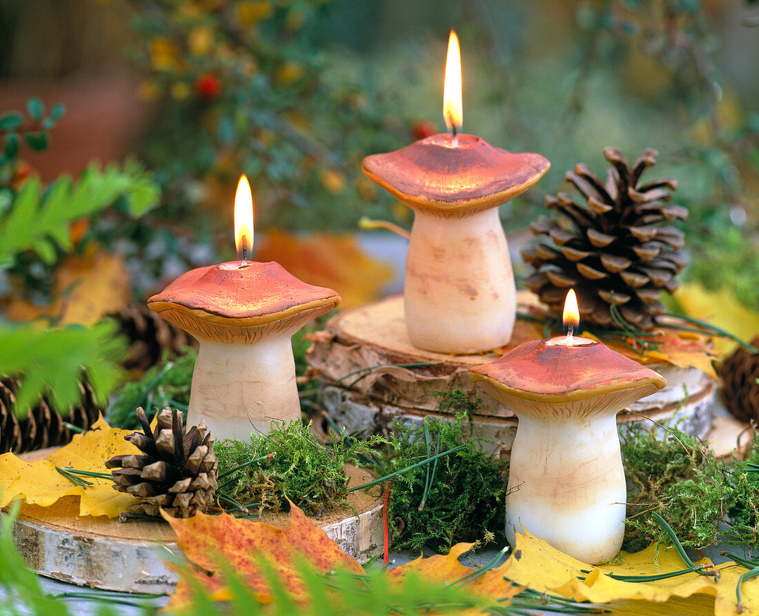 Mushroom candles with Pinus (Pine cone)