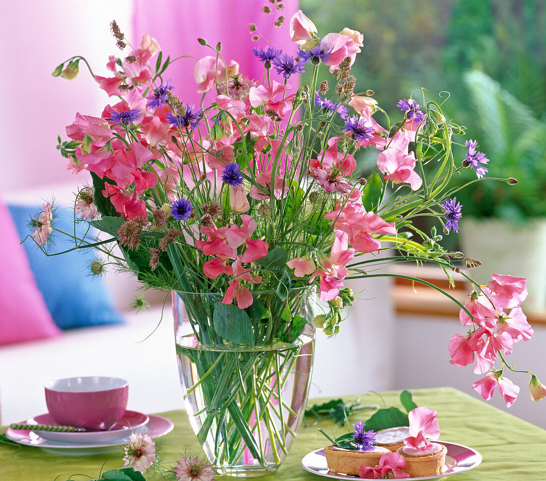 Lathyrus odoratus (pink sweet peas)