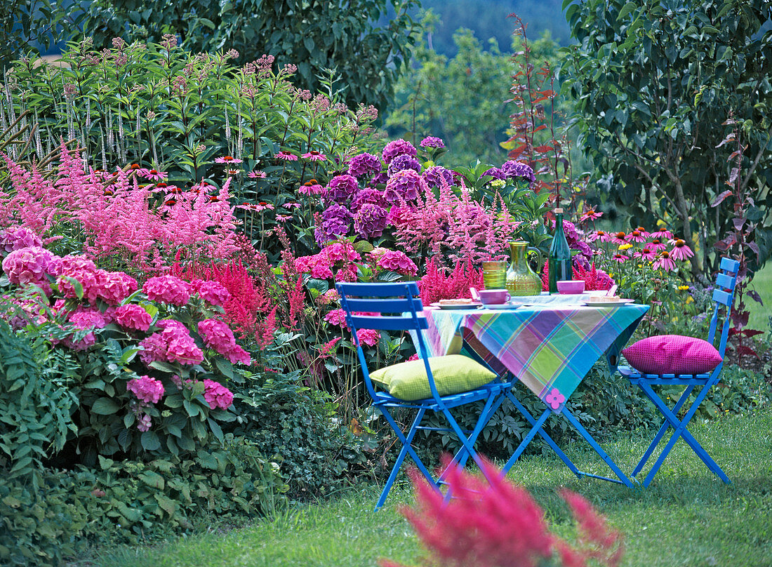 Hydrangea (Hydrangea), Astilbe (Pale lily)