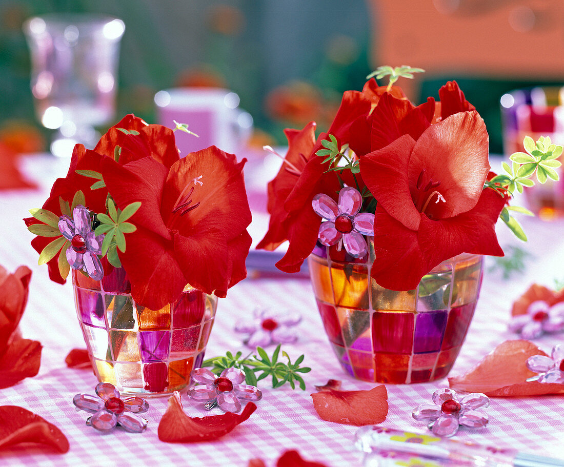 Gladiolus (rote Gladiolen), Galium (Waldmeister)