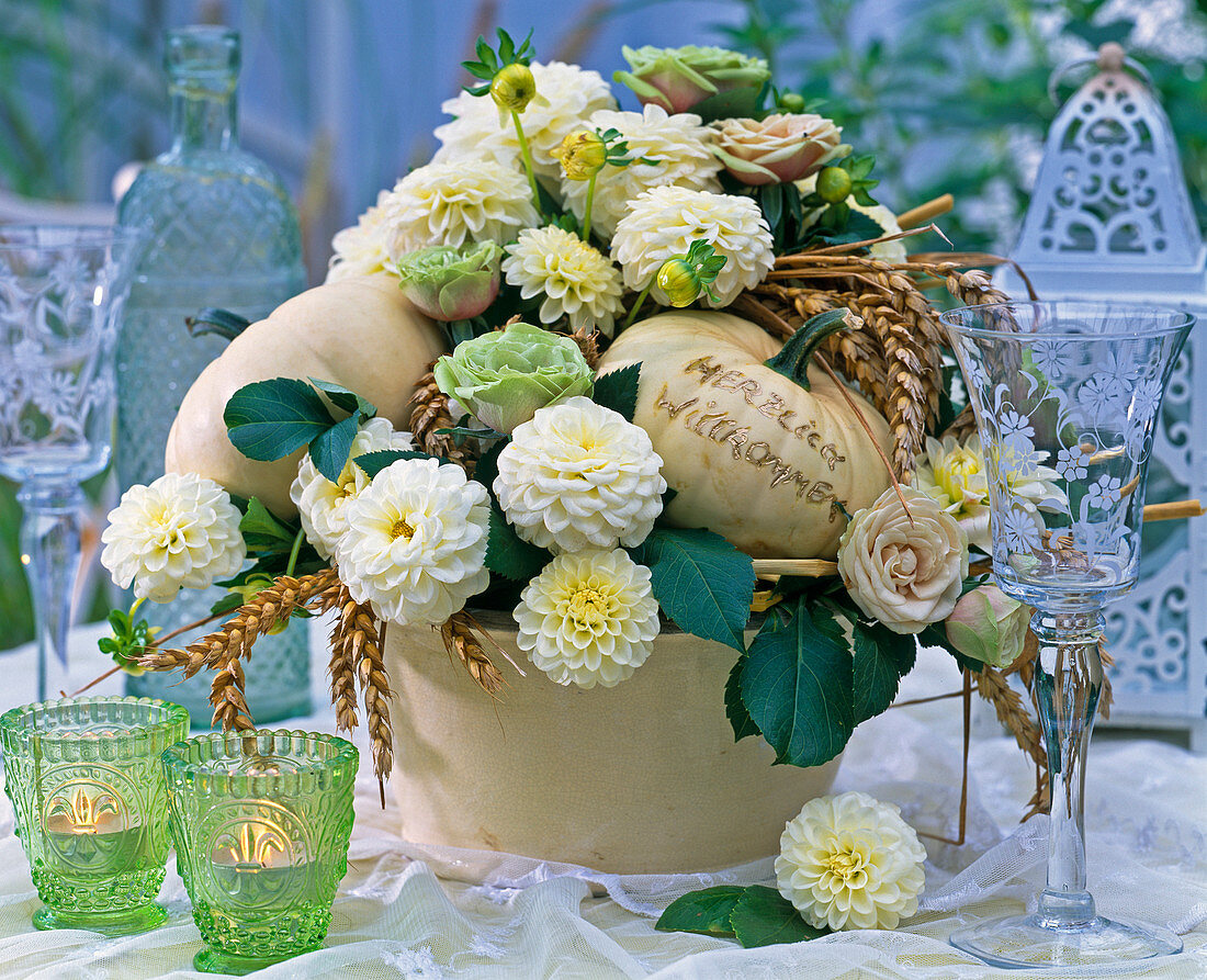 Cucurbita (weiße Kürbisse), Dahlia (weiße Dahlie)