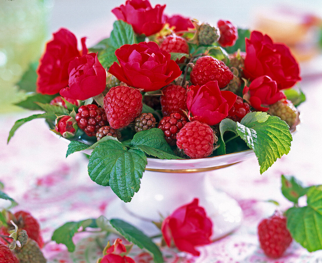 Rosa (Rosen), Rubus (Himbeeren, Weinbeeren, unreife Brombeeren)