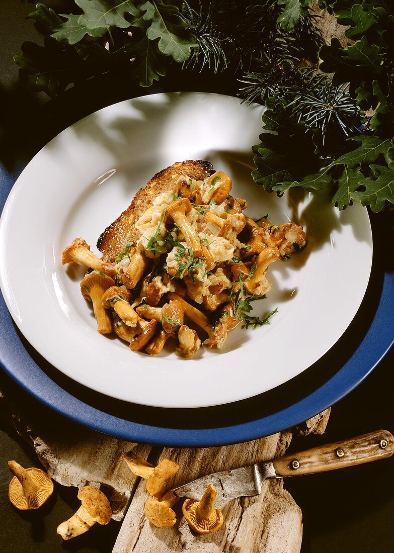 Scrambled Egg with fresh Chanterelles on toasted Sunflower Bread on Plate