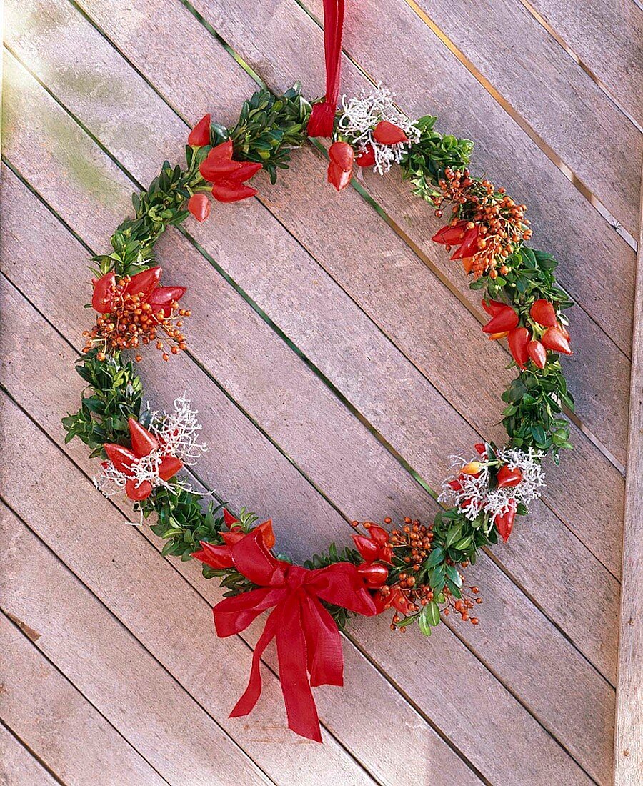 Narrow wreath of Buxus (boxwood), Capsicum (ornamental pepper)