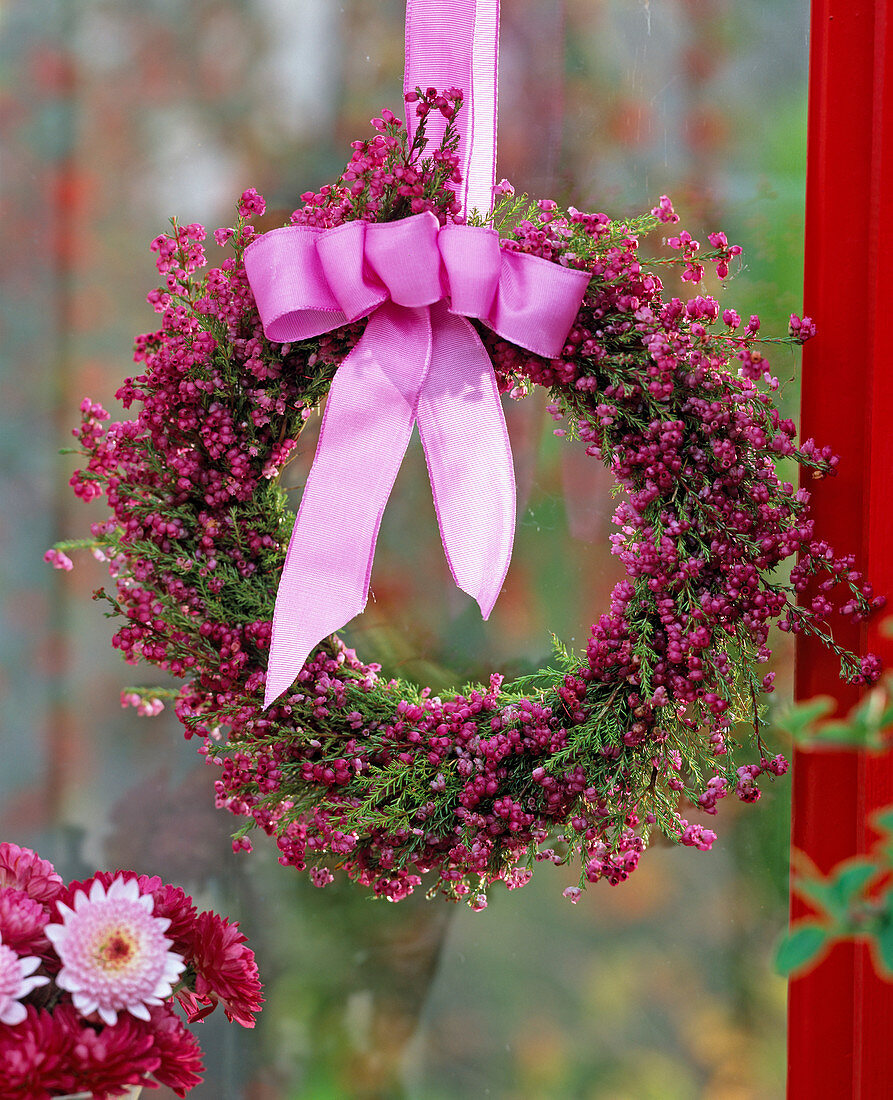 Hanging wreath of Erica gracilis (pottery) with pink bow