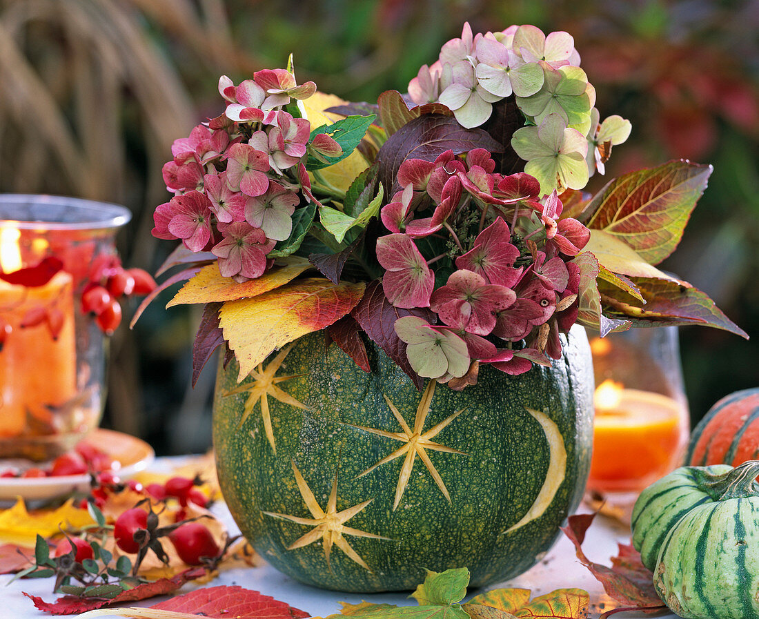 Cucurbita (pumpkin), hollowed out as a vase with bouquet