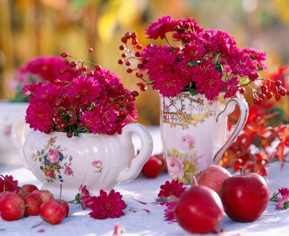 Chrysanthemum (autumn chrysanthemum), Rosa (rosehips)