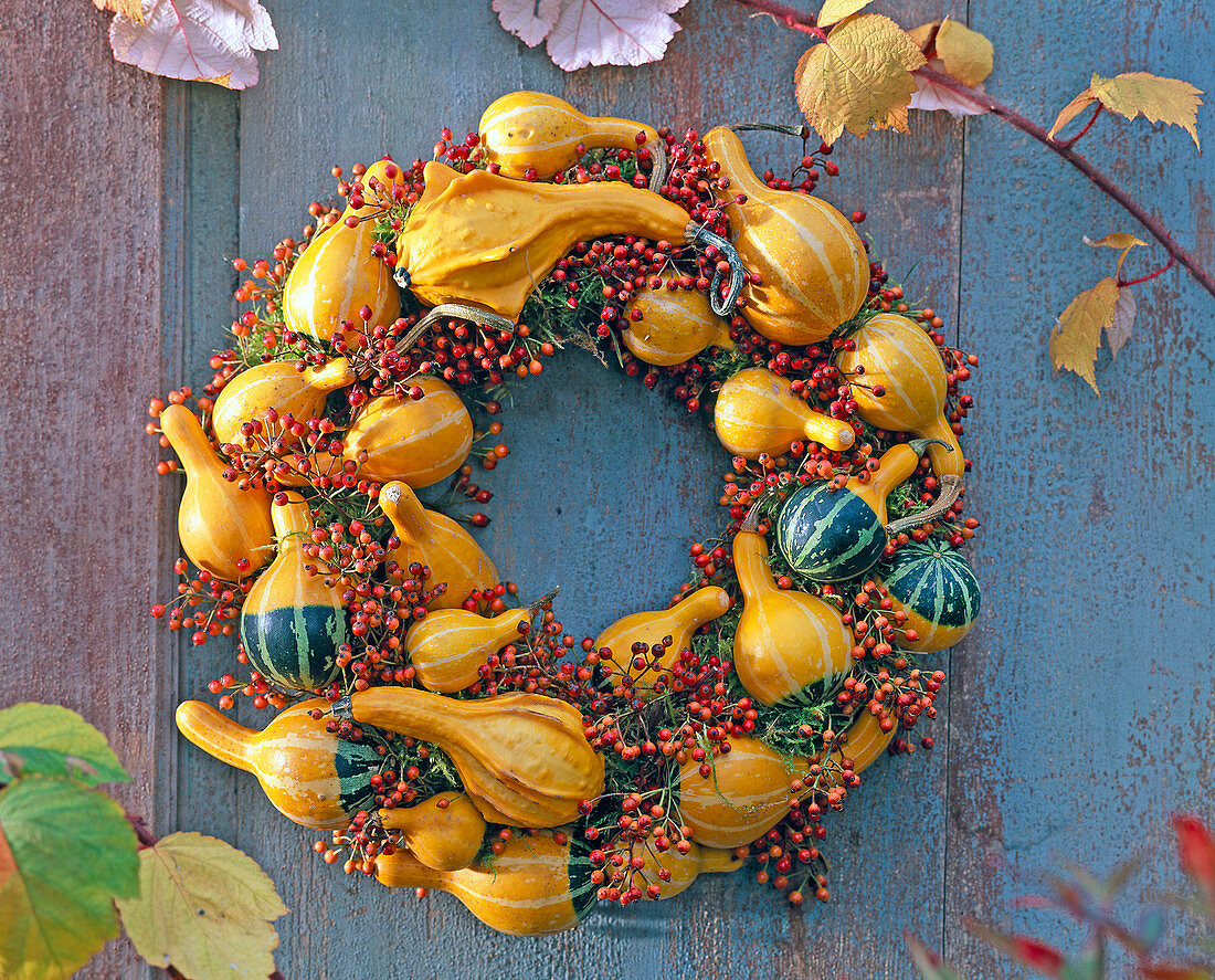 Cucurbita (ornamental squash) and pink (rosehip) wreath