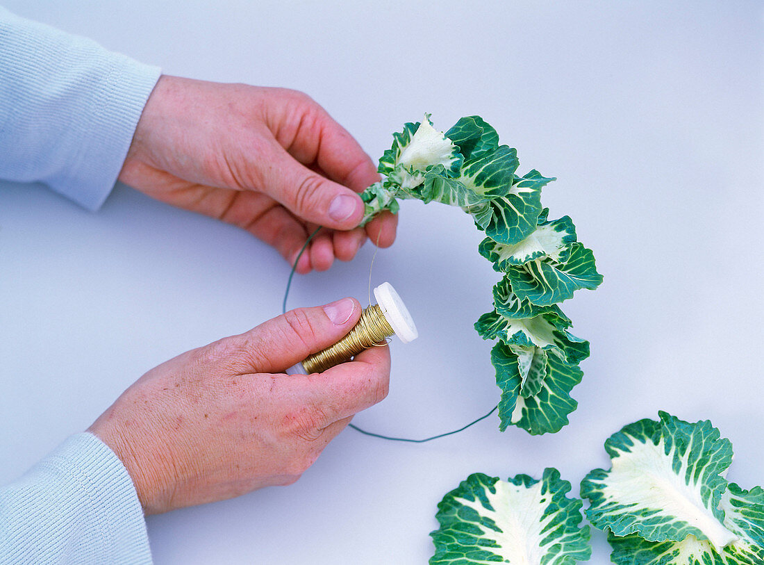 Ornamental kale napkin ring (1/2)