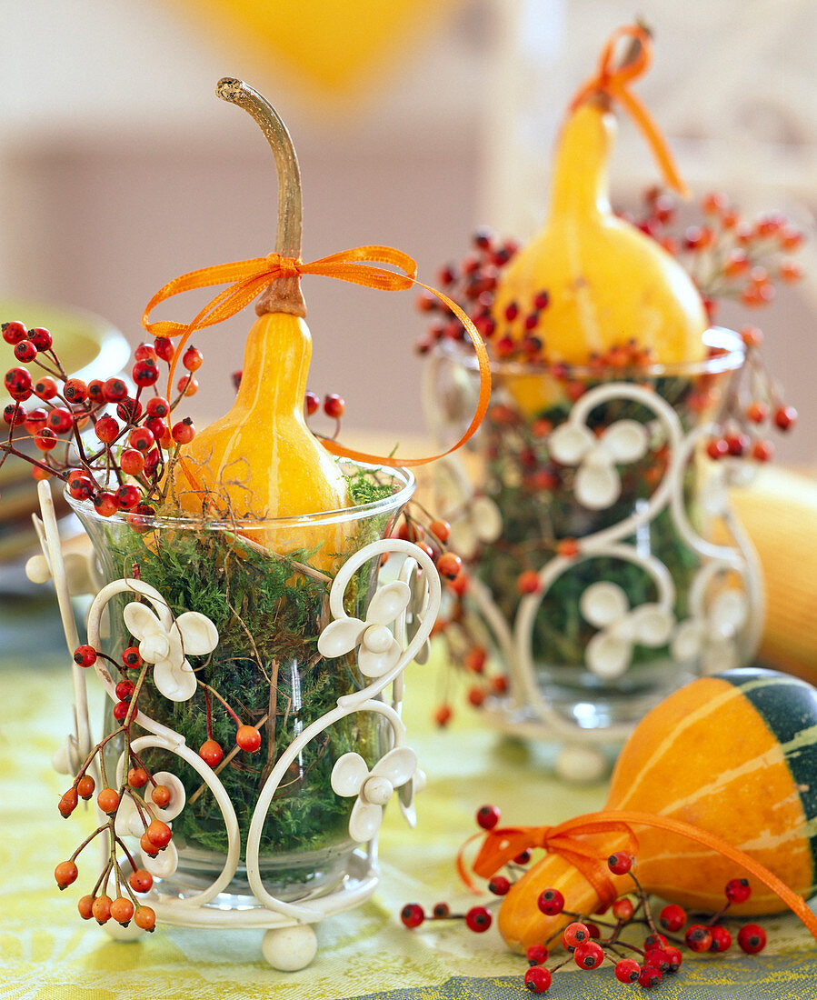 Cucurbita, Rosa, lanterns with moss as vases