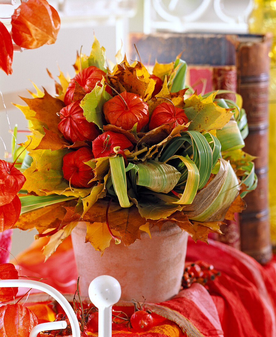 Physalis (Lampions), Acer (Ahornlaub), Spartina (Goldleistengras), Zea