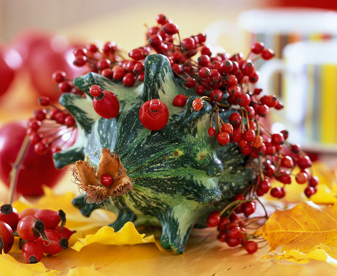 Cucurbita (Zierkürbis) mit Rosa (Hagebutten), Fagus (Bucheckernhülle)