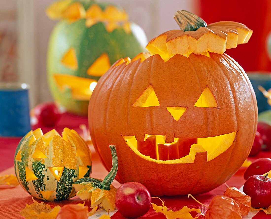 Cucurbita, faces and patterns carved, Malus, Physalis