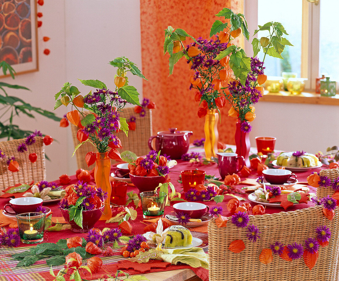 Autumn table decoration: Physalis (lampions), berries as wreaths, Euonymus