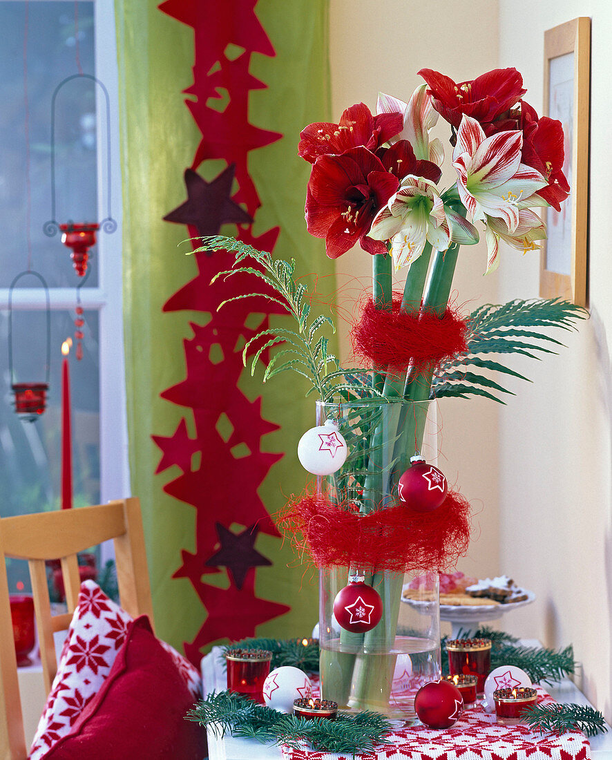 Hippeastrum in red and red-white, Blechnum